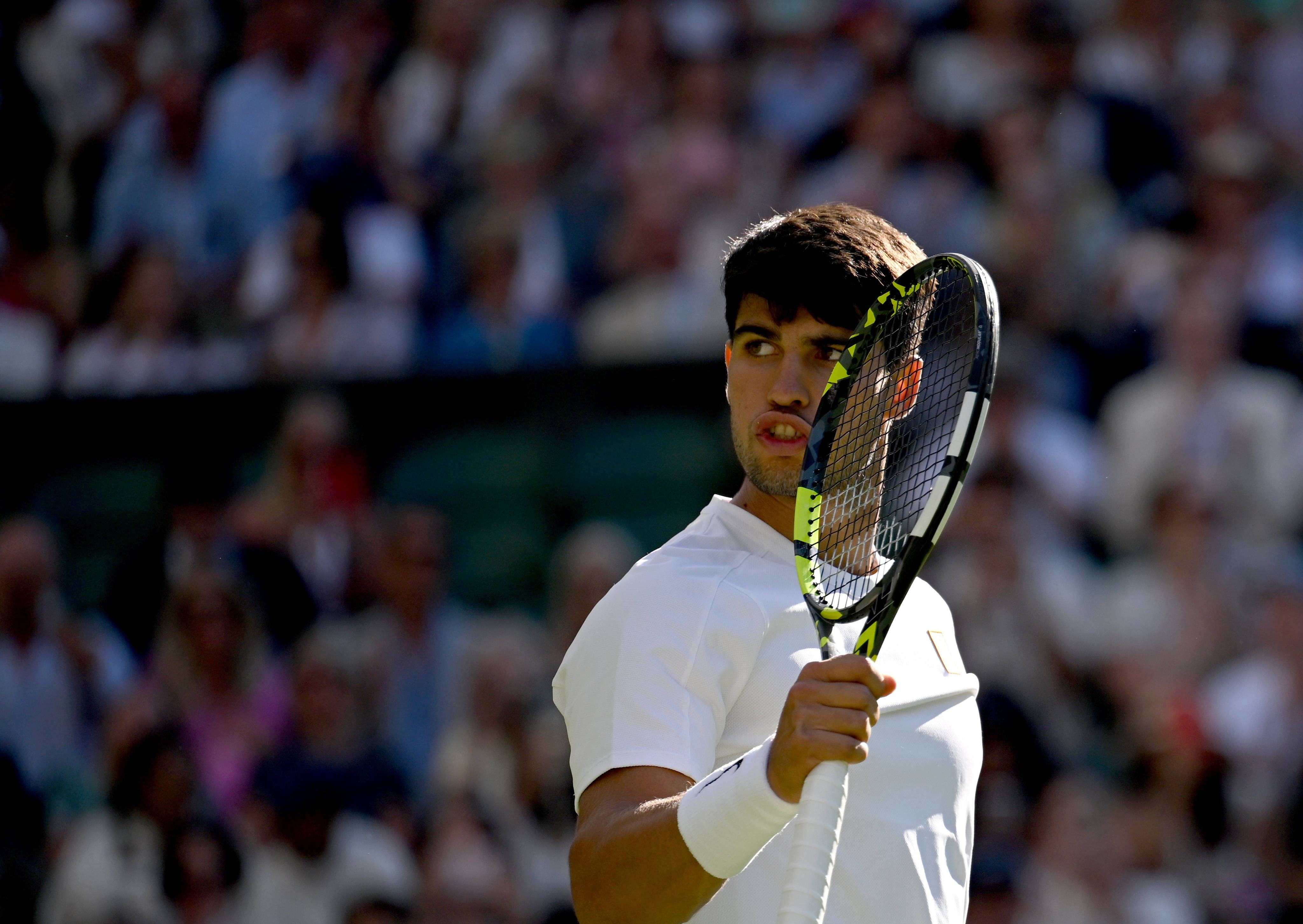 温网碾压澳网,阿尔卡拉斯惊艳四座 温网碾压澳网,阿尔卡拉斯惊艳四座