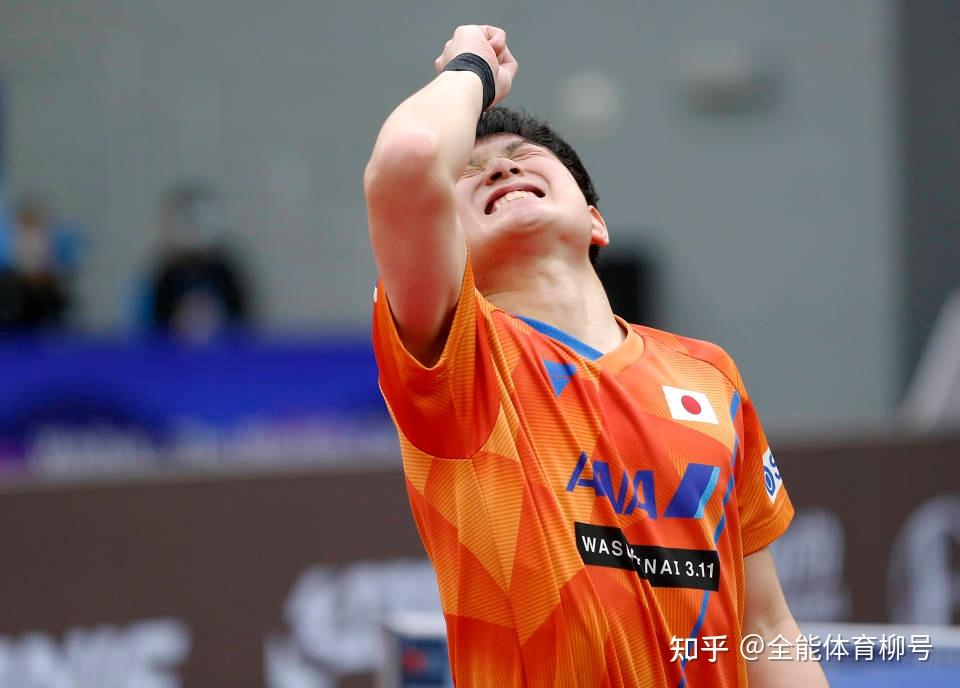 波兰队轻取英格兰队,张本智和惊艳四座 波兰队轻取英格兰队,张本智和惊艳四座