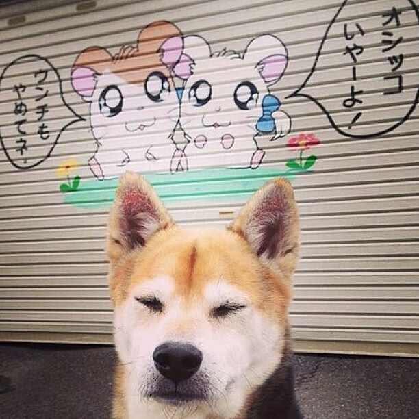 熊猫体育平台-赛道上的独舞者，穆勒在F1街道赛之夜的加冕