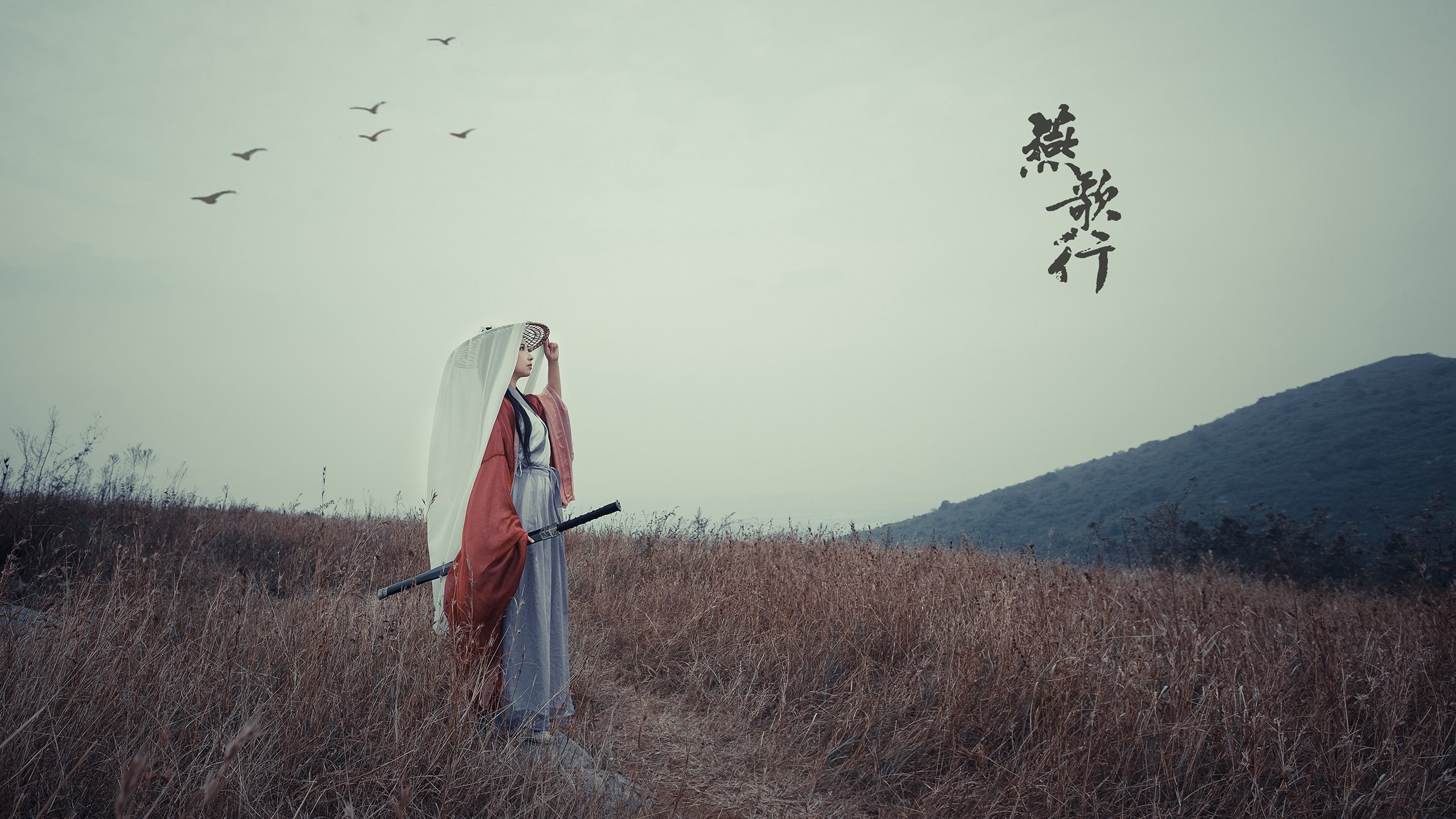 熊猫直播官网-烈焰焚天，拉文全程高能输出，热火完胜湖人的战术启示