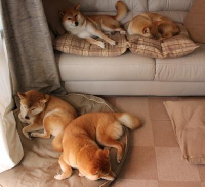 跨界统治力，从爵士碾压到马克西接管—竞技体育的唯一样本