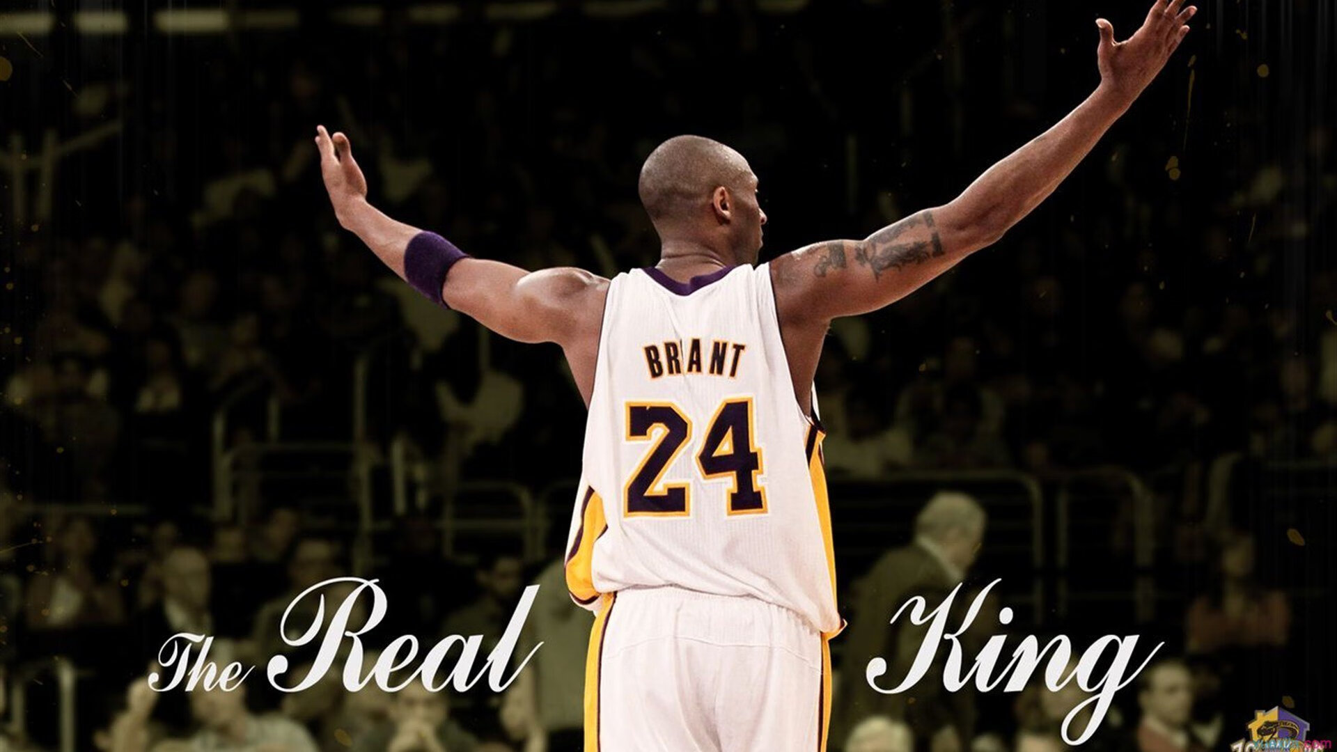 绝境中的王冠，詹姆斯在NBA季后赛之夜如何定义巨星价值