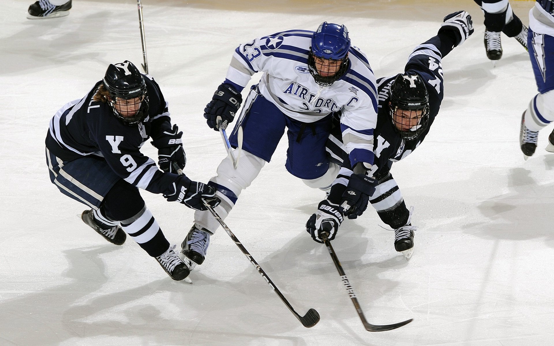 灰熊生死战取胜掘金，戈贝尔成为关键先生
